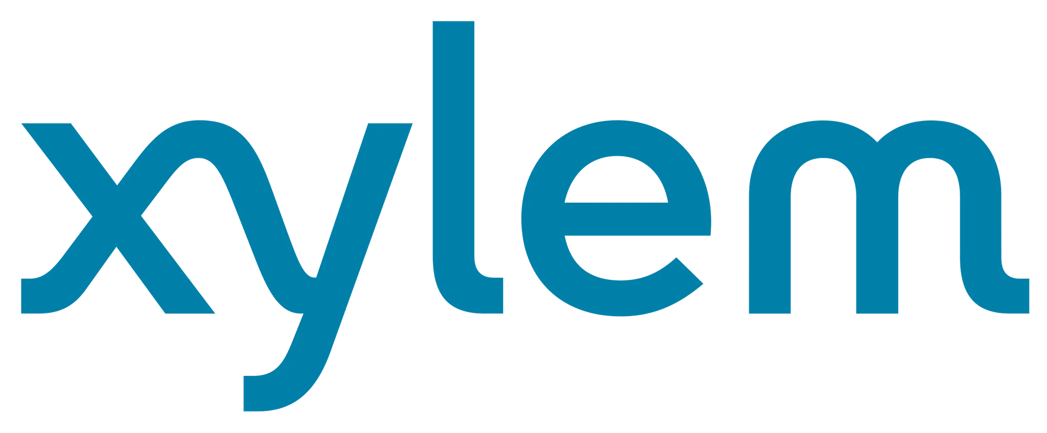 Xylem